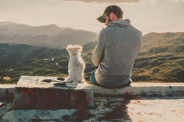 man and his dog enjoy a view of green hills
