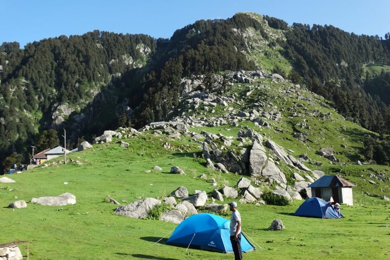 Trekkers scaling the lush trails of the Himalayas.