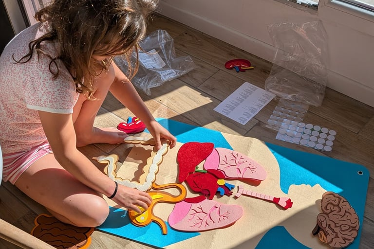 curiosité, enfants, intelligence corporel