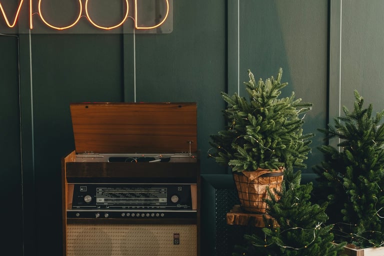 Eco-friendly wooden speaker