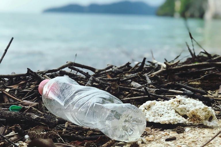 Plastic bottle in trash near sea
