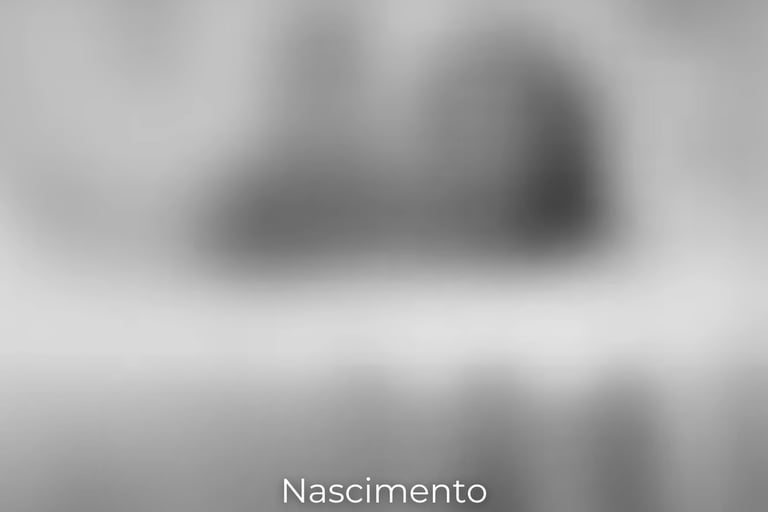 Simulação de visão ao nascimento – percepção muito borrada, sem foco ou definição de formas