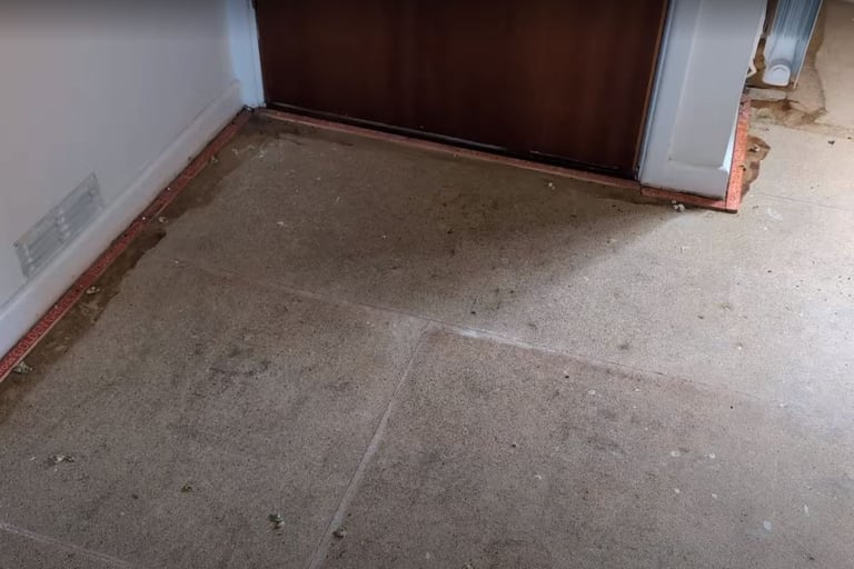 Carpet Up