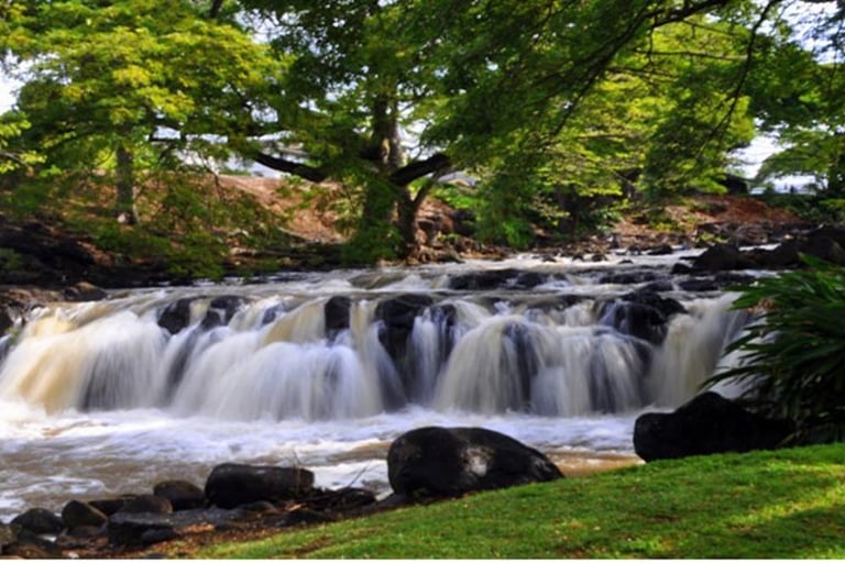 Liliuokalani Botanical Garden Waterfall