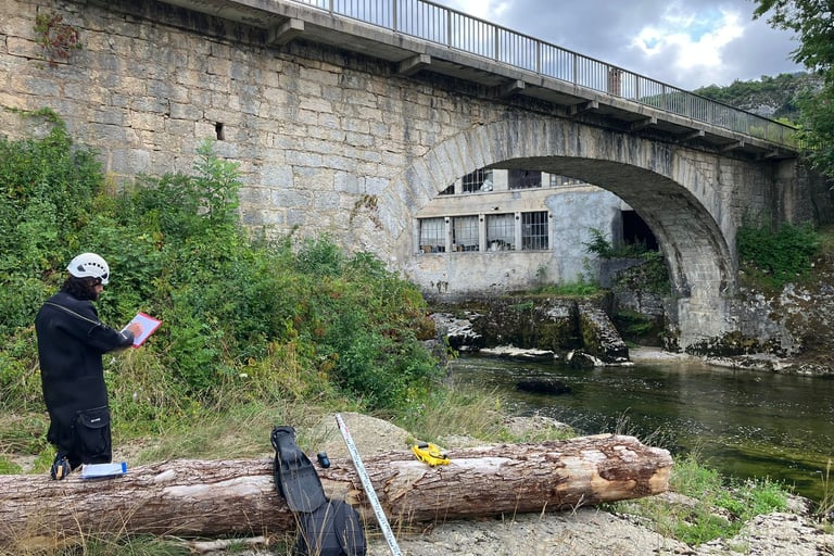 inspection pont maçonnerie