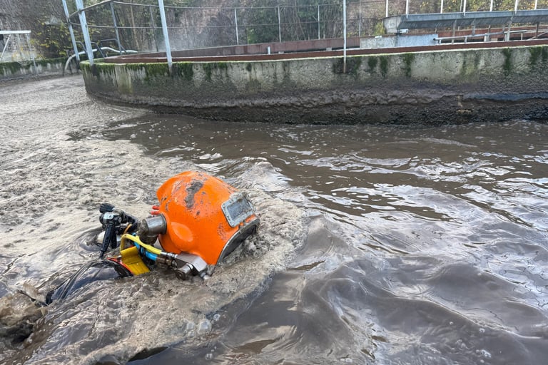 inspection subaquatique STEP et STEU, plongeur