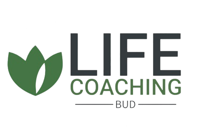 One (1) month life coaching program, once per week, one hour session