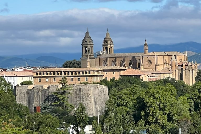 Cathedral and Labrit´s Bastion seen from Parque de la Media Luna