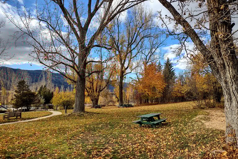 A leaf covered lawn with a green picnic table, towering trees and mountain, a blue sky with clouds