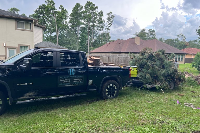 Hurricane Tree Removal