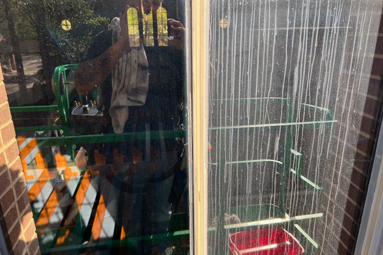 Window on the left has been cleaned, the window on the right is still dirty from a building wash