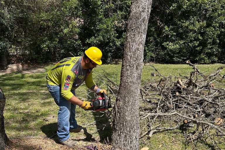 Preventative maintenance to remove a tree leaning towards a house