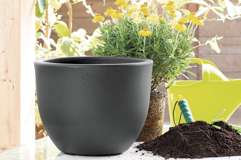 Elegir la maceta adecuada el ser o no ser de cada planta