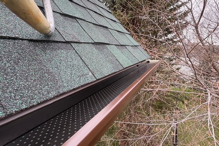 Aluminum leaf filter installed on residential gutter system.
