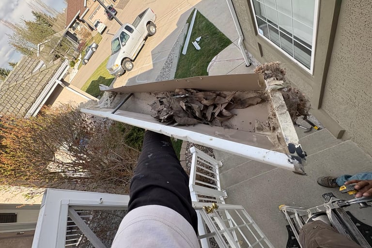 Clogged gutter filled with leaves before cleaning.