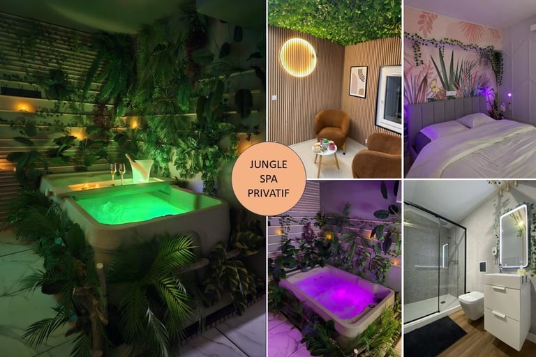 Location appartement "Jungle Spa privatif" pour cures thermales à Lamalou les bains