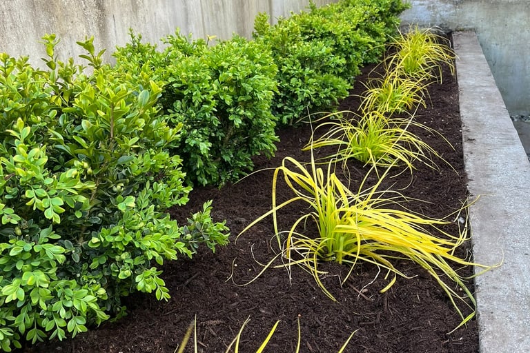 Low Maintenance Landscape