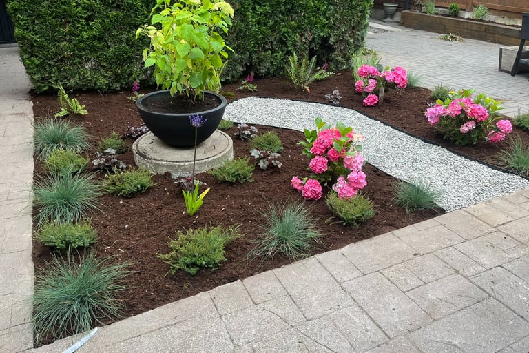 Small Backyard Landscape