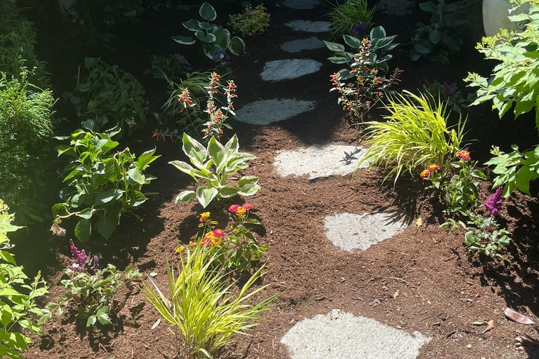 Small Front Yard Landscape