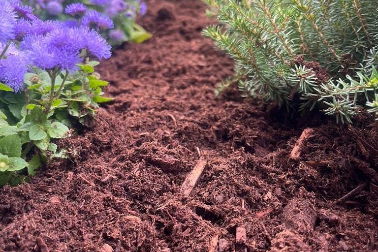 Closeup of Mulch in a flowerbed