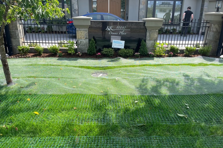Newly Installed Garden
