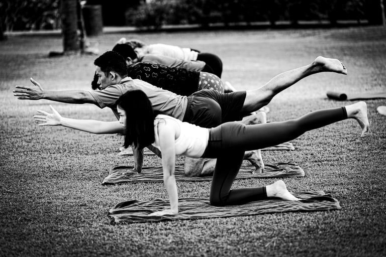 a group of people doing yoga exercises in a park. Langkawi, Malaysia