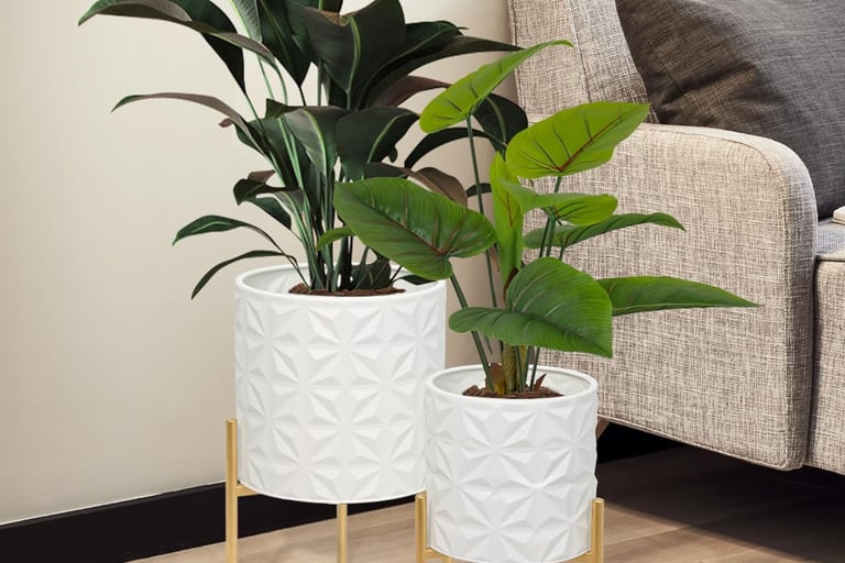 two planters with plants in a living room