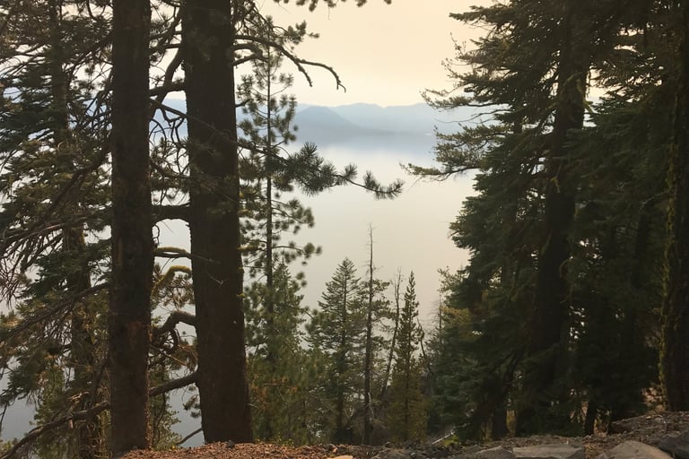 Hemlock Forest on trail to Crater Lake