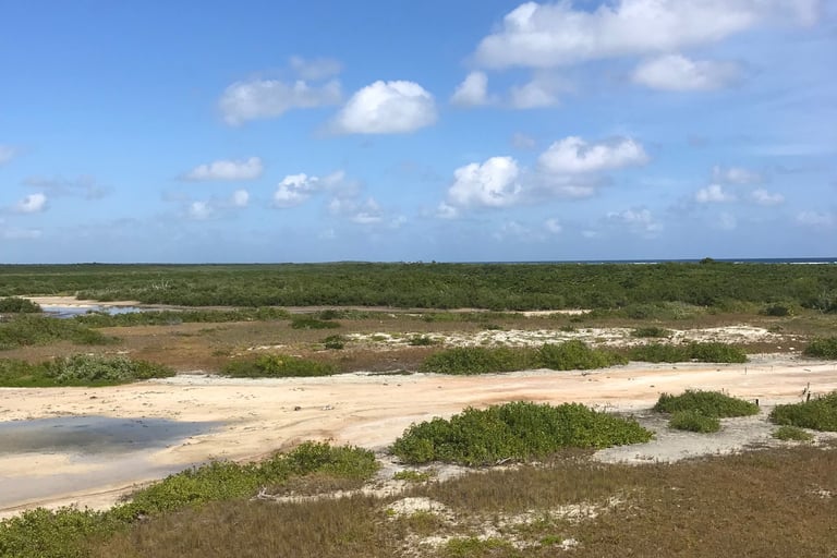 Road to the Cozumel Lighthouse
