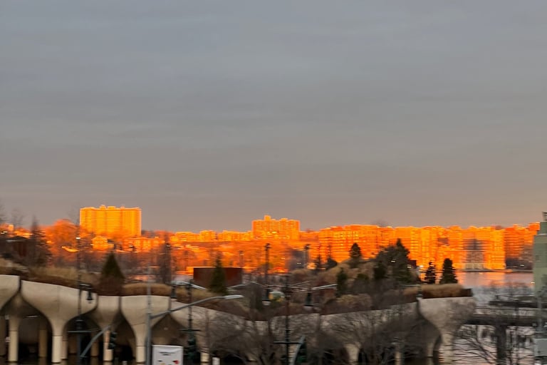 The View of the Hudson Yards