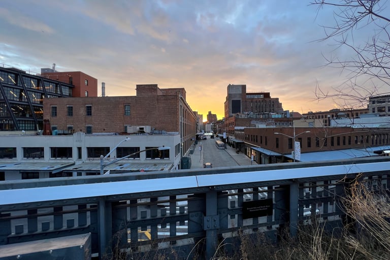 West Side of the High Line NYC