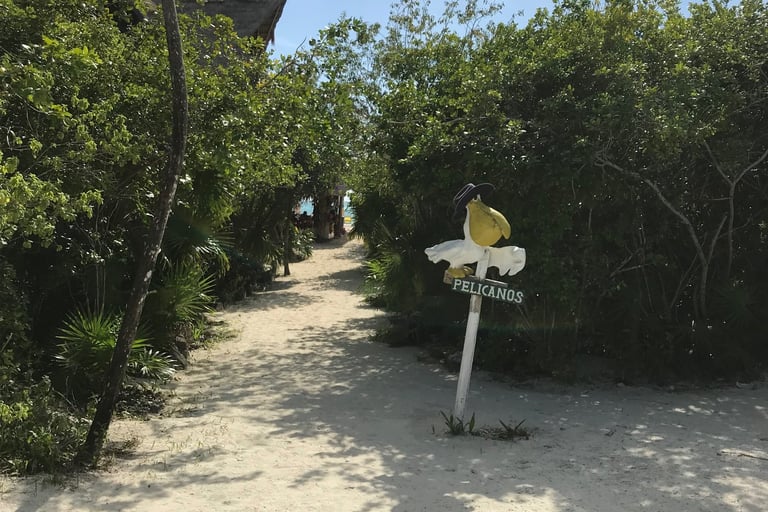 Snorkel Beach on Cozumel