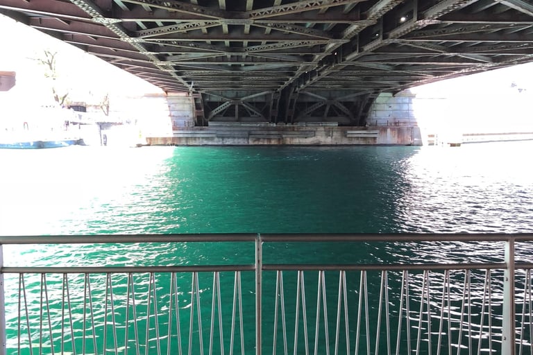 Fulton River District