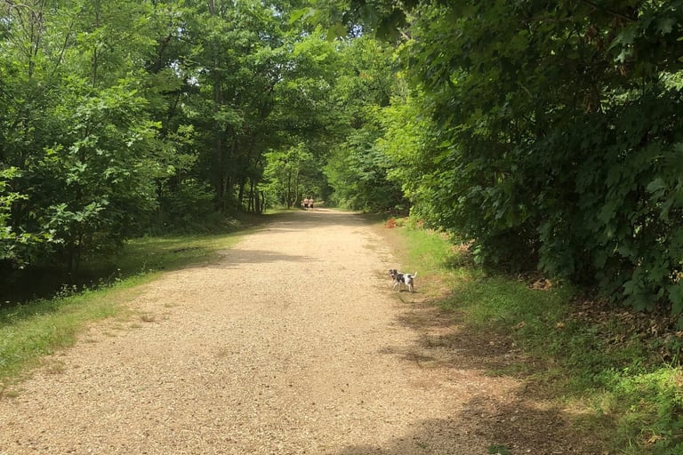 The Path to the Jump Site at the Ledges