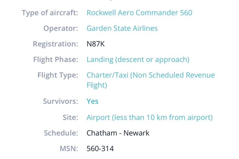 Bruce Falk Plane Crash