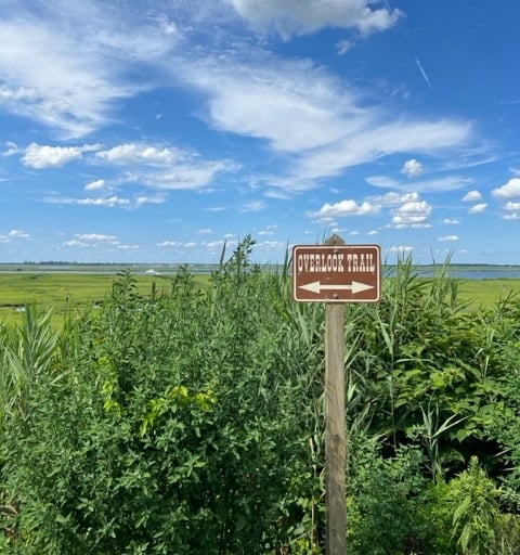 Overlook in Lido Beach Nature Preserve