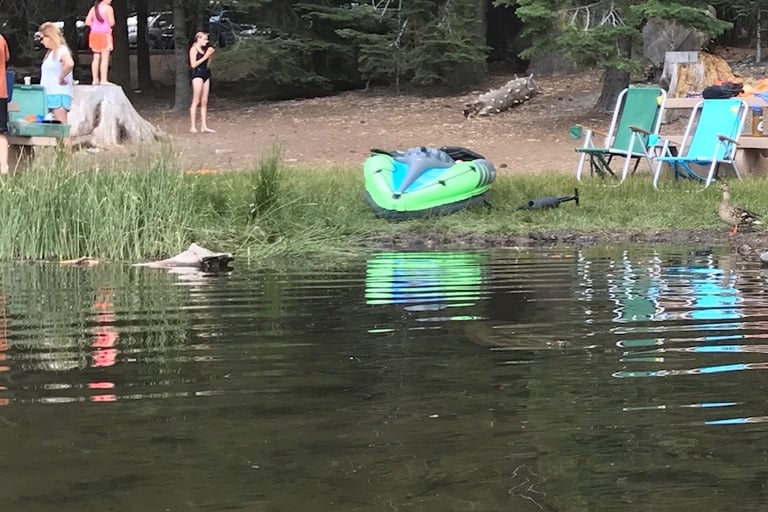 Phew Willitts are hard to dump