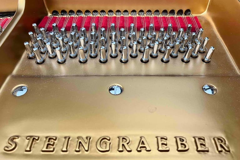 Cadre fonte piano Steingraeber