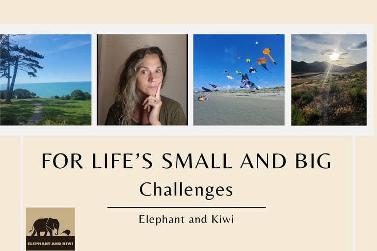 A collage showing the different sides of elephant and kiwi coaching