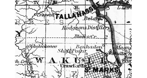 Map of Wakulla County Florida Old Map