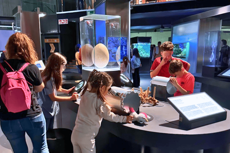 kids at cosmocaixa museum