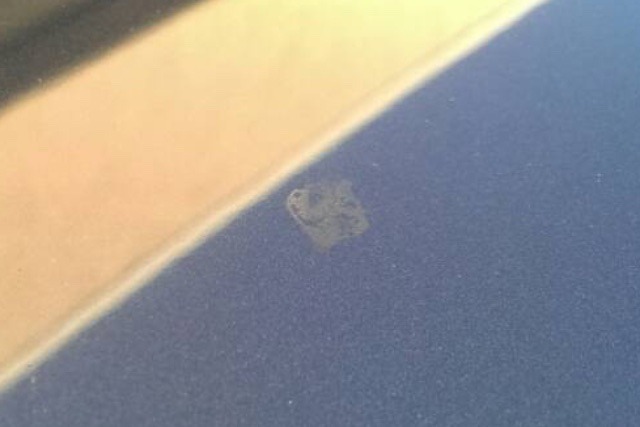 bug gut etching into clear coat