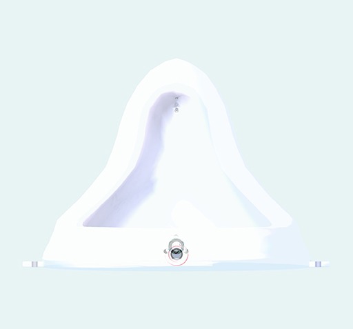 x ray Duchamp's urinal seen from above