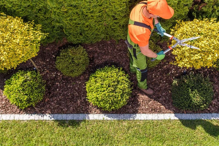 professional lawn care Oklahoma by matias landscaping