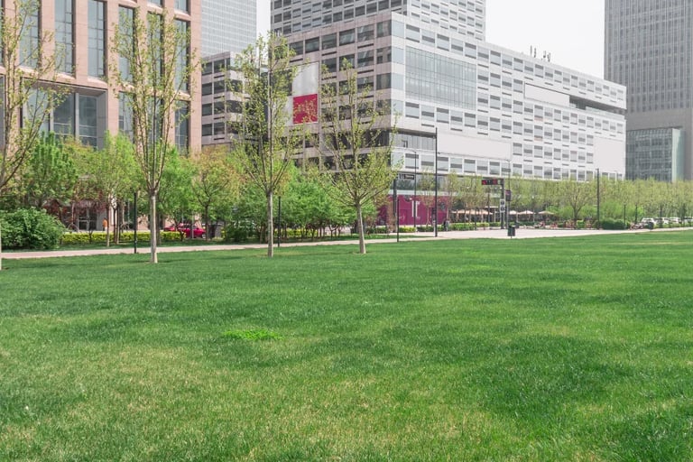 landscape design services