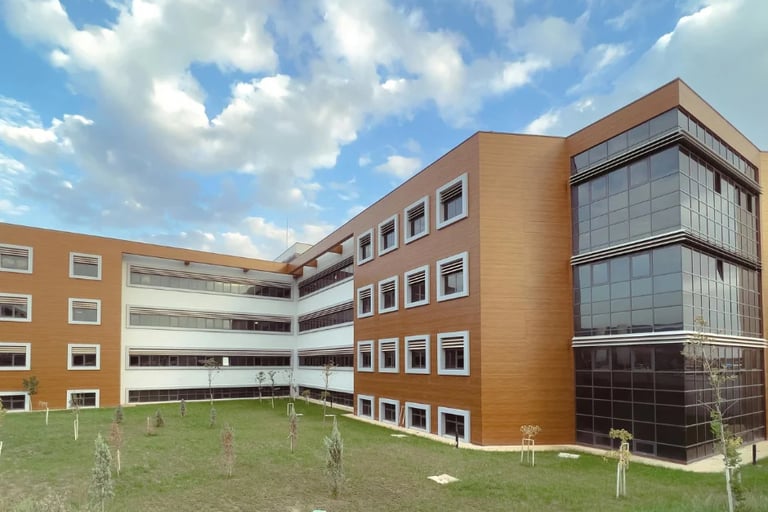 seasonal lawn maintenance