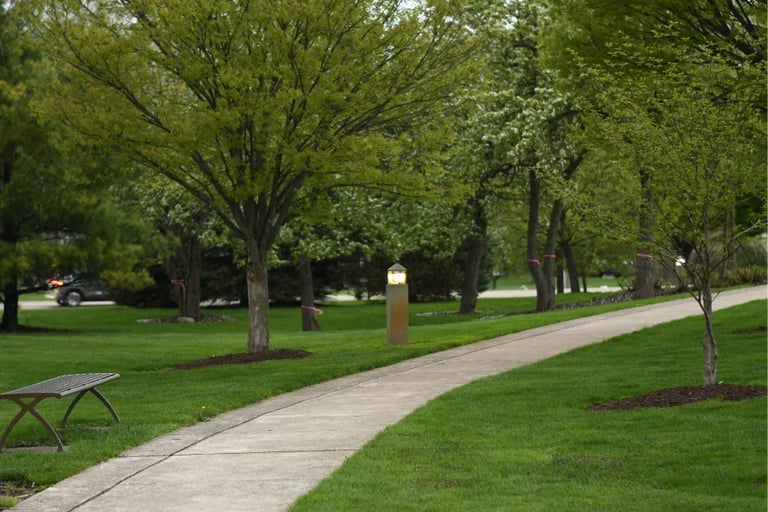 walkways and pathways installation