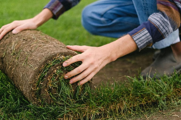 local sod delivery and installation