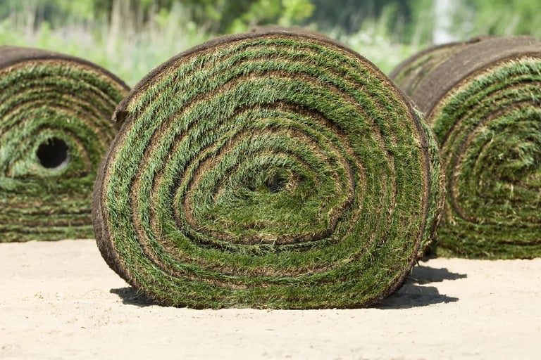 professional sod installation