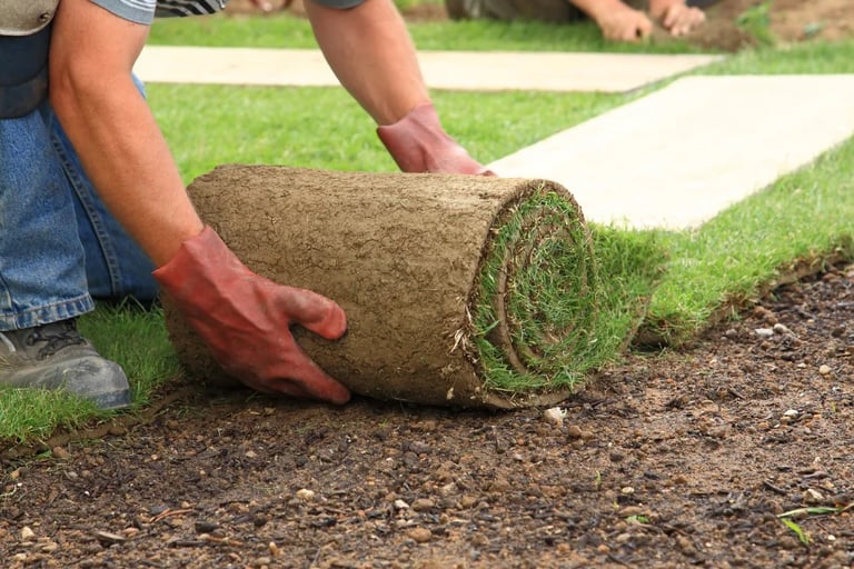 residential sod installation oklahoma